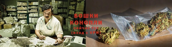 apvp Рославль