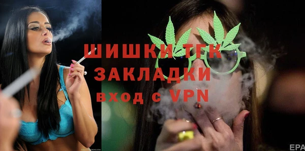 apvp Рославль
