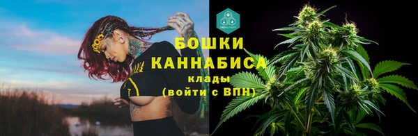 apvp Рославль
