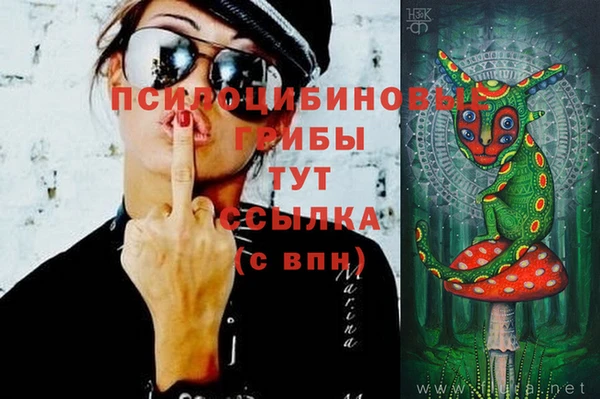 амф Саяногорск