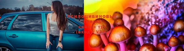 apvp Рославль