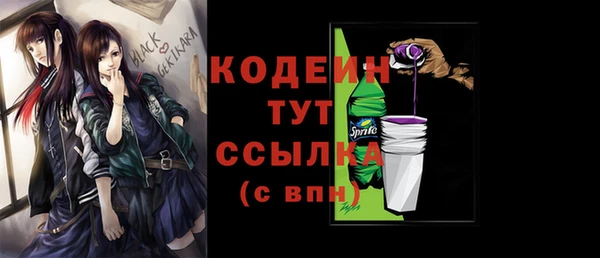 apvp Рославль