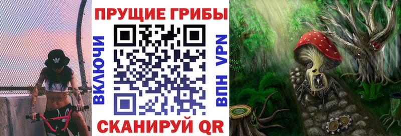 Галлюциногенные грибы прущие грибы  хочу   Городище 