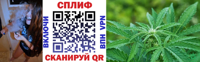 Канабис планчик  Городище 